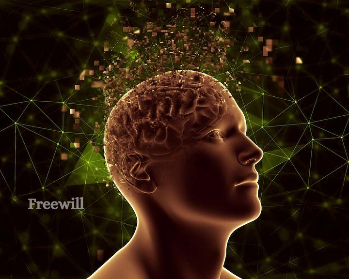 Neuroscience of free will and consumer choice